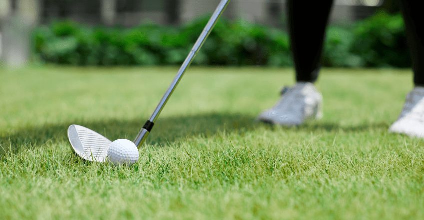 Wedge Buying Guide